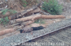 Youth run over by train near Tokkottu